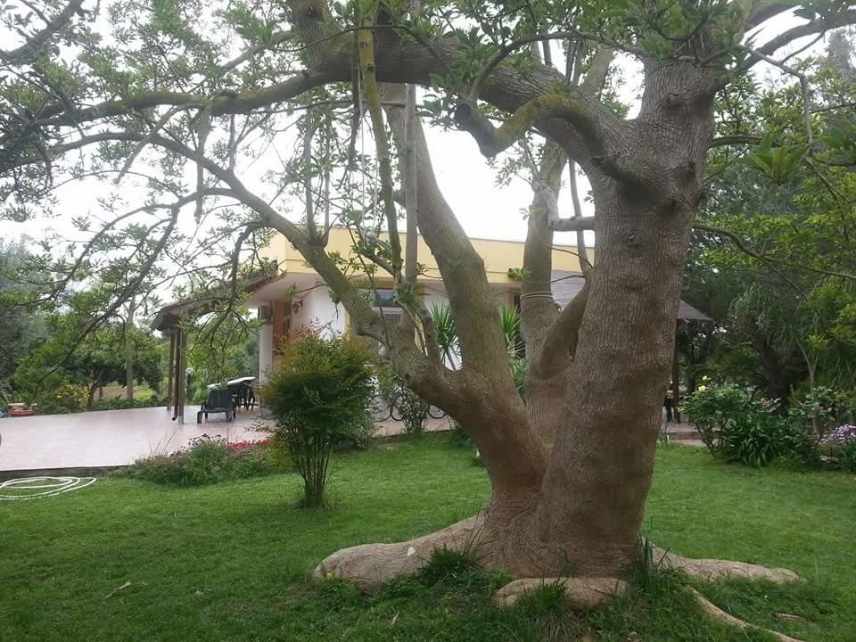 B&B La Gazza Ladra Carmiano  Exterior foto
